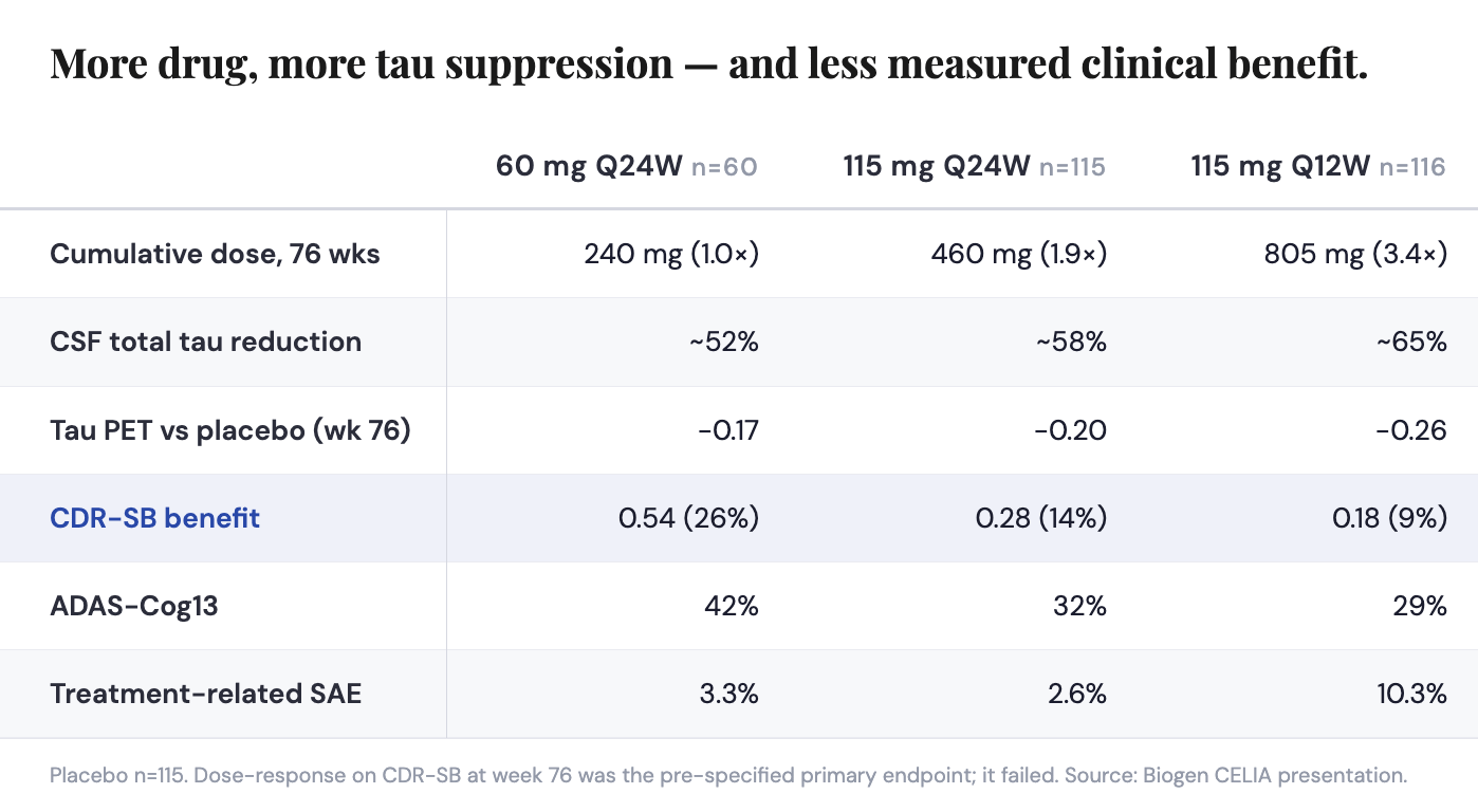 More drug, more tau suppression - and less measured clinical benefit.
60 mg Q24W n=60
115 mg Q24W n=115
115 mg Q12W n=116
Cumulative dose, 76 wks
240 mg (1.0×)
460 mg (1.9x)
805 mg (3.4x)
CSF total tau reduction
~52%
~58%
~65%
Tau PET vs placebo (wk 76)
-0.17
-0.20
-0.26
CDR-SB benefit
0.54 (26%)
0.28 (14%)
0.18 (9%)
ADAS-Cog13
42%
32%
29%
Treatment-related SAE
3.3%
2.6%
10.3%
Placebo n=115. Dose-response on CDR-SB at week 76 was the pre-specified primary endpoint; it failed. Source: Biogen CELIA presentation. More drug, more tau suppression - and less measured clinical benefit.
60 mg Q24W n=60
115 mg Q24W n=115
115 mg Q12W n=116
Cumulative dose, 76 wks
240 mg (1.0×)
460 mg (1.9x)
805 mg (3.4x)
CSF total tau reduction
~52%
~58%
~65%
Tau PET vs placebo (wk 76)
-0.17
-0.20
-0.26
CDR-SB benefit
0.54 (26%)
0.28 (14%)
0.18 (9%)
ADAS-Cog13
42%
32%
29%
Treatment-related SAE
3.3%
2.6%
10.3%
Placebo n=115. Dose-response on CDR-SB at week 76 was the pre-specified primary endpoint; it failed. Source: Biogen CELIA presentation.