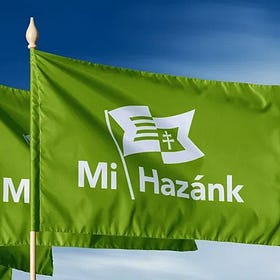 Hogyan profitálhat az AfD sikeréből a Mi Hazánk? - konstruktív javaslat a párt megújulására