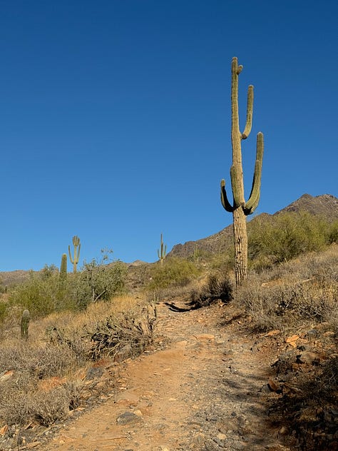 Three photos from Arizona desert hikes including Pinnacle Peak and Gateway Loop showing desert trails, saguaro cacti, and a hiker celebrating scenic mountain views near Phoenix.