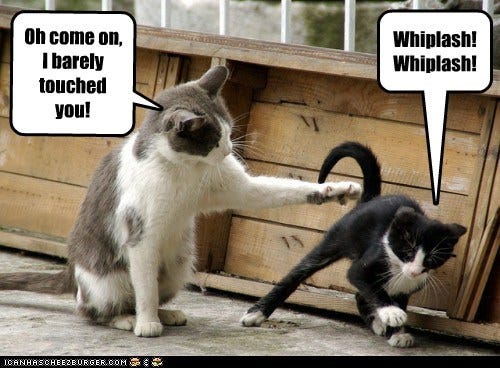 Friday 08-10-2021 - American Touch Tag Day - The Daily Kitten