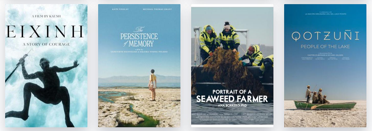 Films from CFF25 Films from CFF25