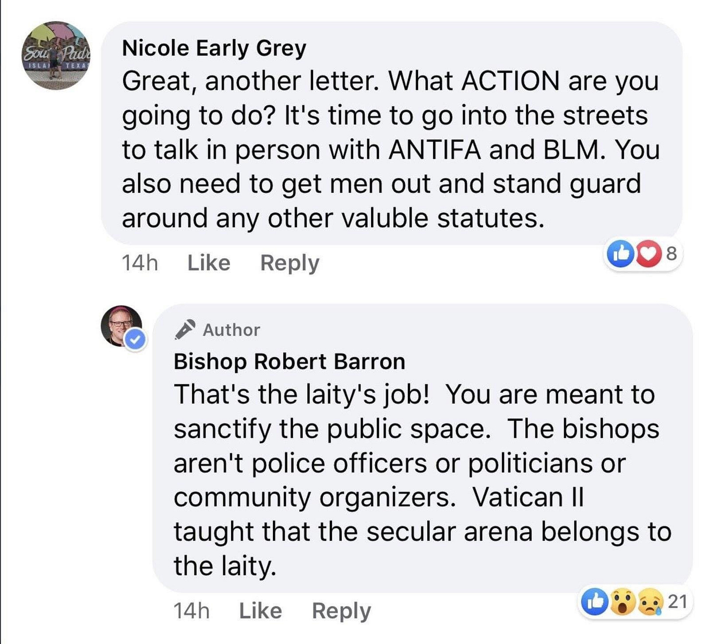 A low point for Bishop Robert Barron.