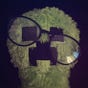 Plezz <3's avatar