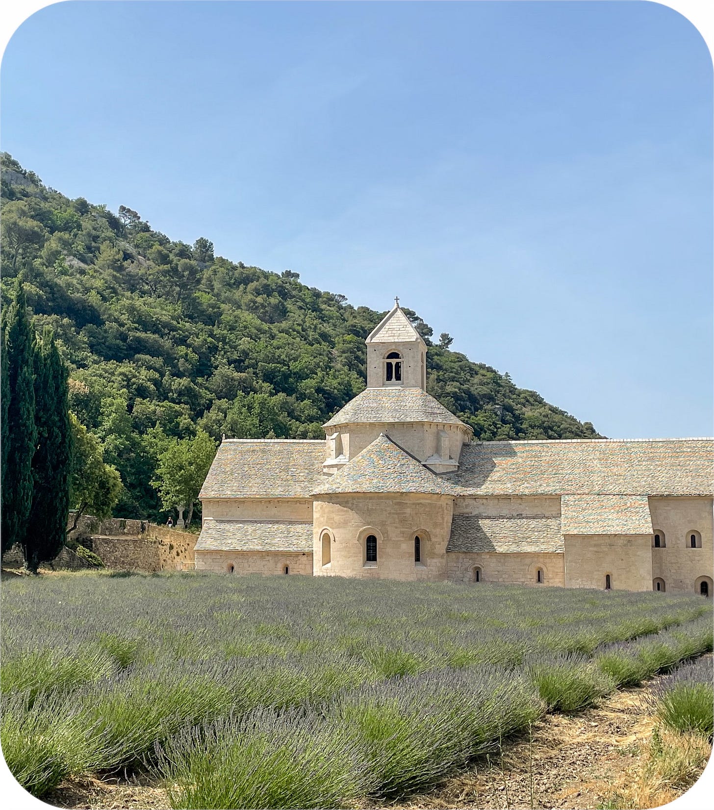 Lavender and the Abbaye de Senanque. Provence, France