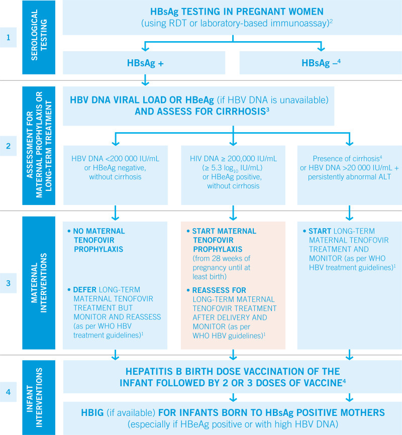 Executive Summary - Prevention of Mother-to-Child Transmission of Hepatitis B Virus: Guidelines on Antiviral Prophylaxis in Pregnancy - NCBI Bookshelf Executive Summary - Prevention of Mother-to-Child Transmission of Hepatitis B Virus: Guidelines on Antiviral Prophylaxis in Pregnancy - NCBI Bookshelf