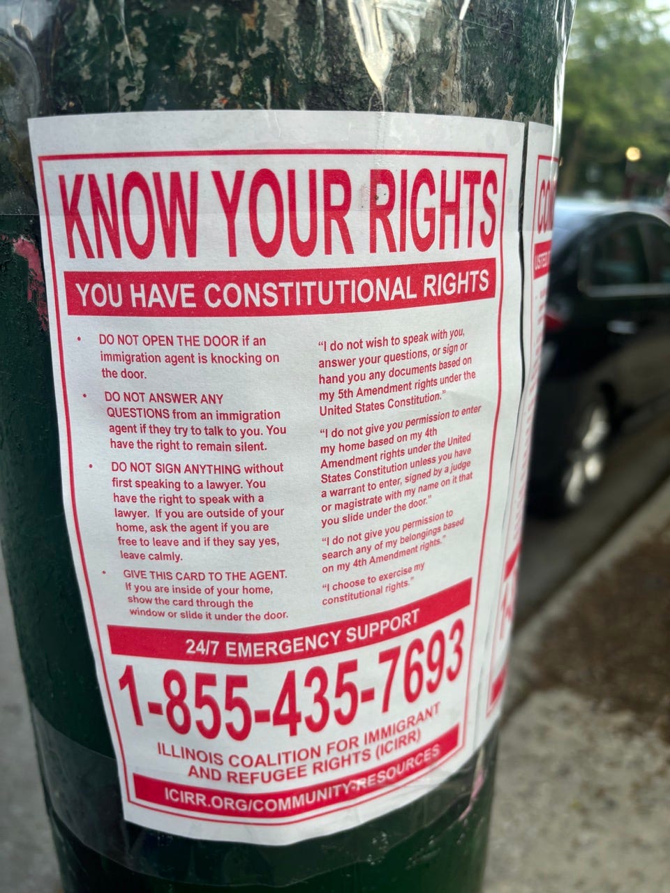 a photo of a KNOW YOUR RIGHTS flyer detailing constitutional rights + an emergency support hotline