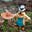 Loganpass's avatar