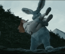 Down The Rabbit Hole GIFs | Tenor