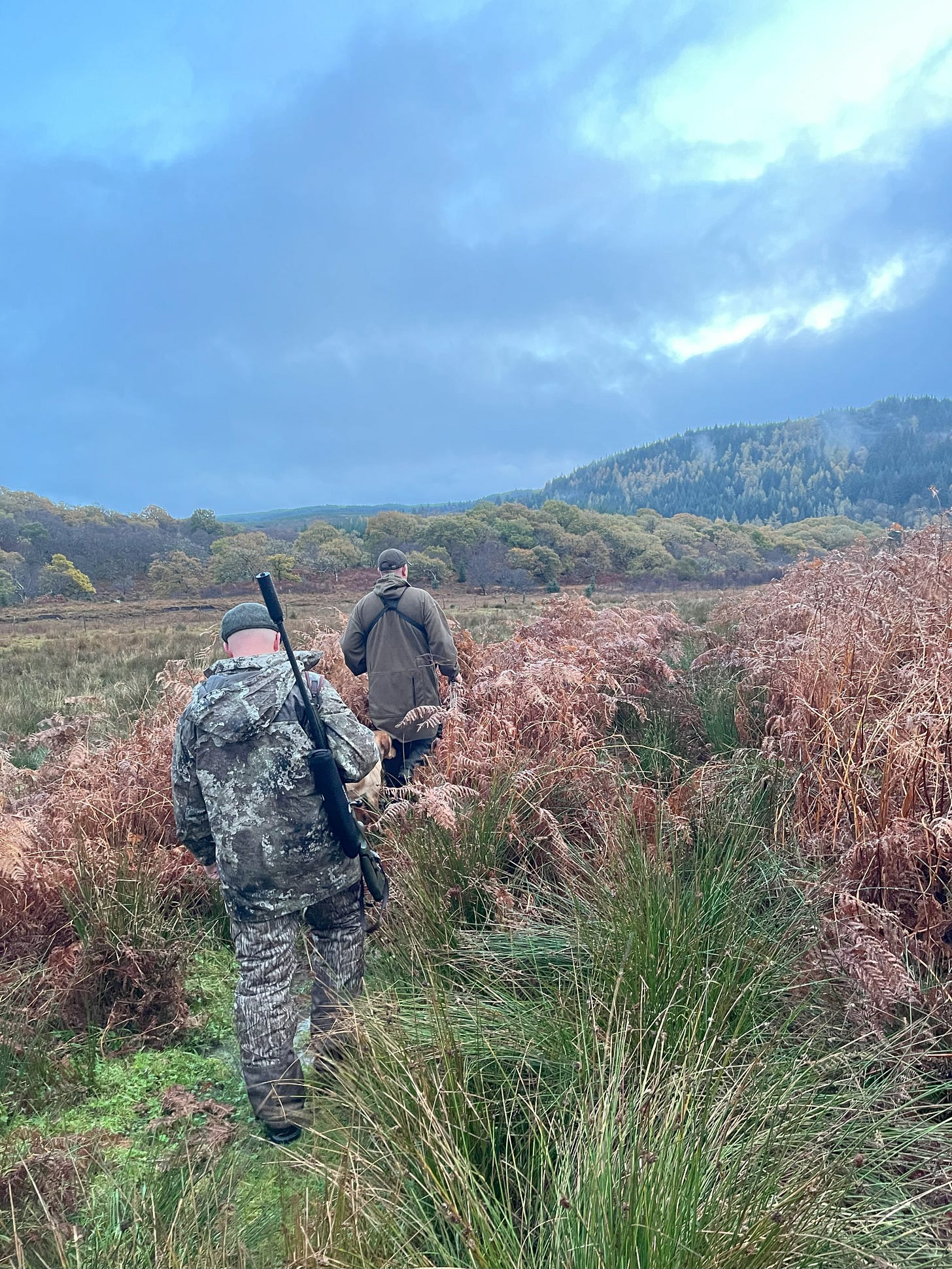 Scotland deerstalking autumn