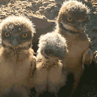 Rage Giving: Tabs, Mon., Jan. 5, 2025