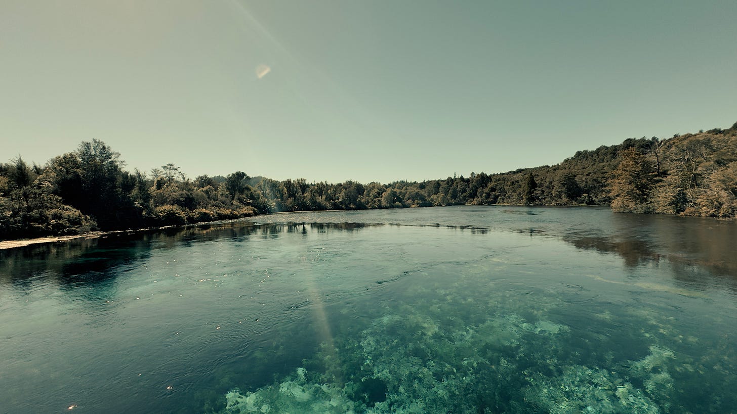 Crystal clear New Zealand spring water Te Waikoropupu — clarity stillness wellness career reset neurodiversity.