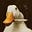 Duq's avatar