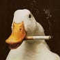 Duq's avatar