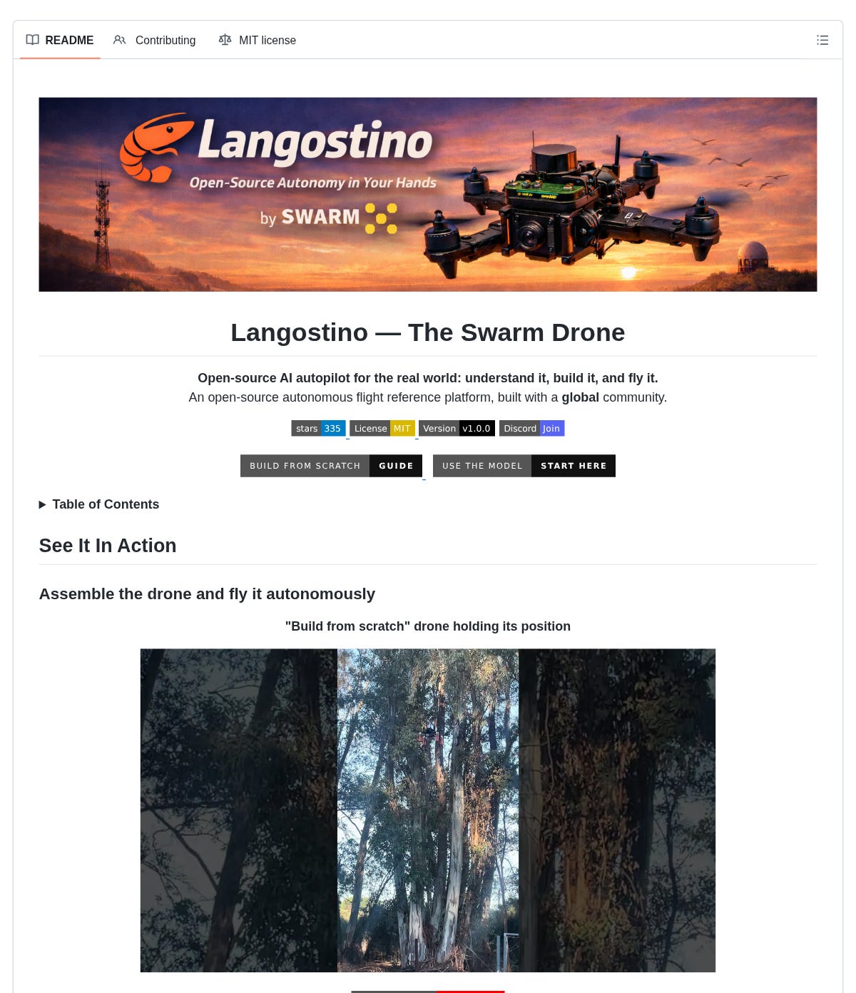 Screenshot or cover image for swarm-subnet/Langostino Screenshot or cover image for swarm-subnet/Langostino