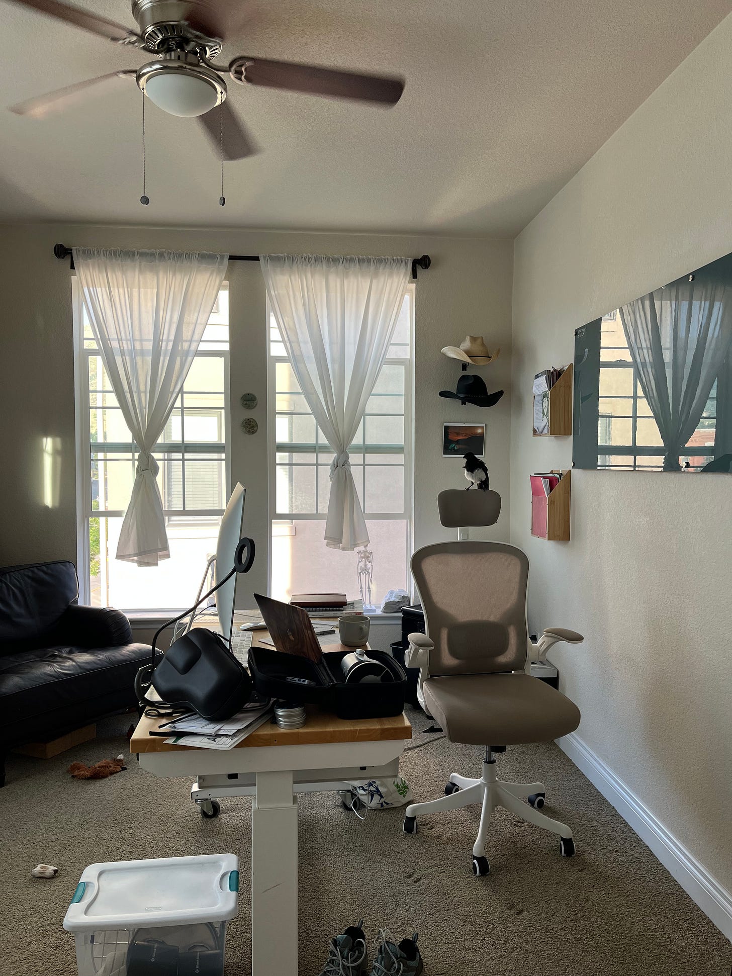 photo of a scattered office with a magpie sitting on the back of the desk chair