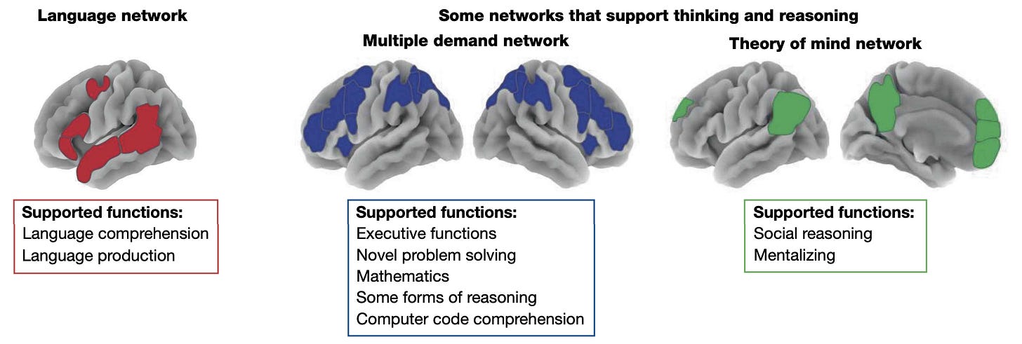 A set of images of the brain, with different parts lighting up, labeled “language network,” “multiple demand network,” and “theory of mind network,” all of which support different functions.