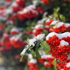 実現したいことを書き留めておく