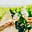 Musto Wine Grape Co.'s avatar