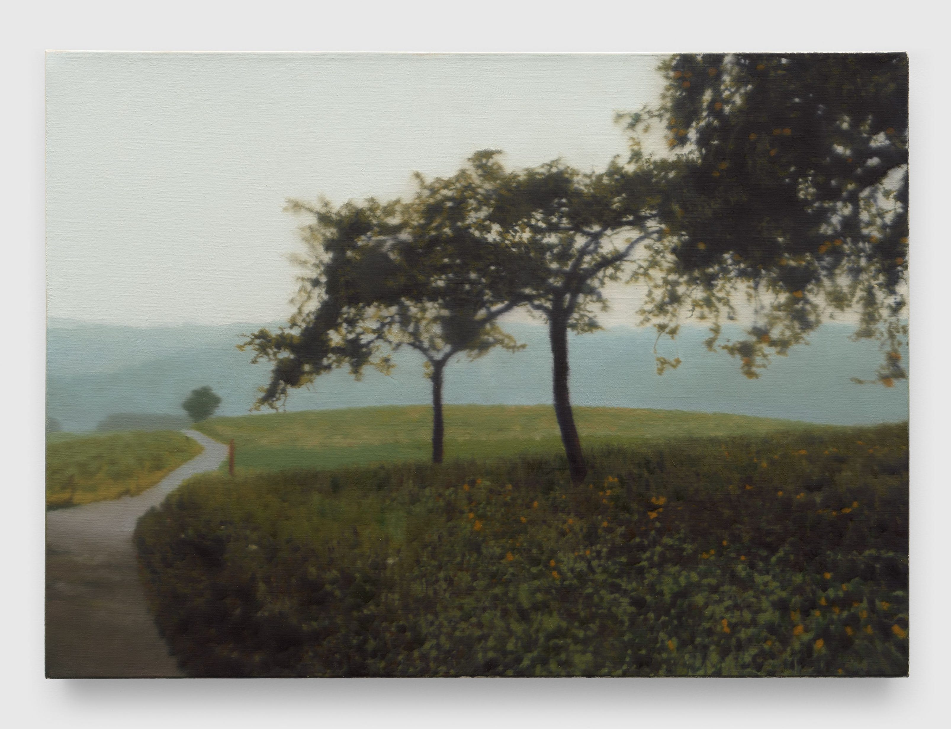 Gerhard Richter at David Zwirner - Vasili Kaliman