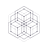 Polymath Perspective