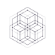 Polymath Perspective