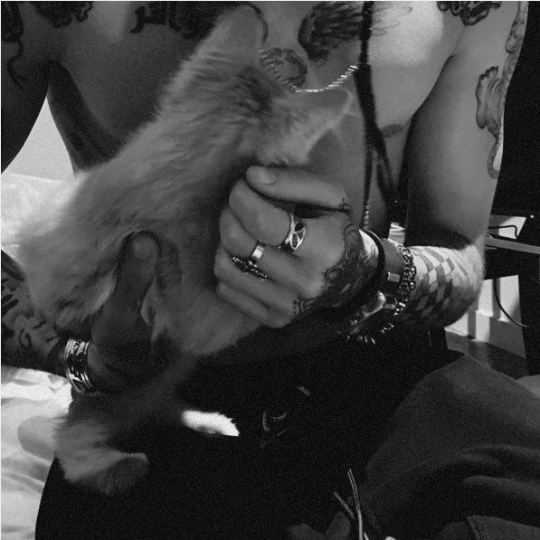 gigi hadid unveils shirtless zayn malik 2015 gossip gigi hadid unveils shirtless zayn malik 2015 gossip
