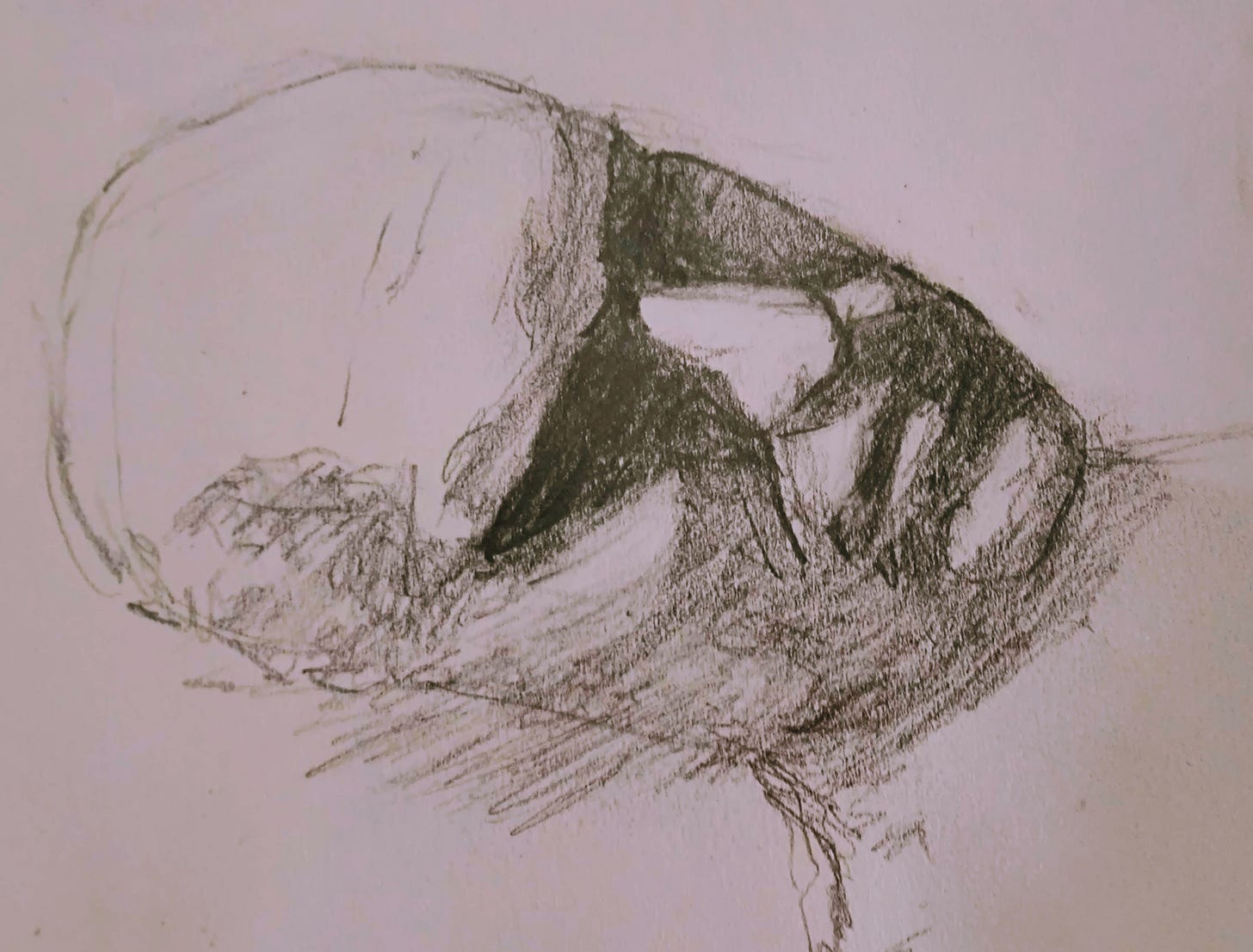 sketch by Richard Temple