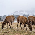 Your Boss Thinks You Suck. Now What?