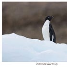 REPLAY 'Sketching Animals in the Snow': Co-hosted with Natasha Cross from The Artist's Toolbox