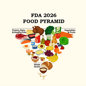 Our Takes On The New USDA Food Pyramid