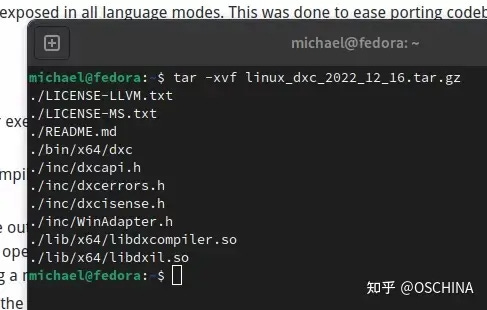 微软DirectX着色器编译器DXC 微软DirectX着色器编译器DXC