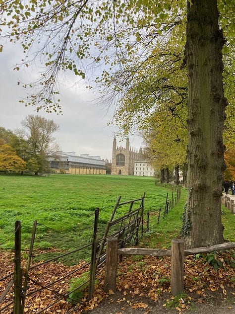 Red leaves in foreground over the river; distant view of Kings Chapel; carpet of leaves under a big tree; English Faculty sliding door; entrance to SIdgwick Buttery; sign at entrance to Petty Cury, a pedestrian street in central Cambridge