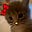 HELLOKITTY's avatar