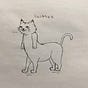 もーろちょ's avatar