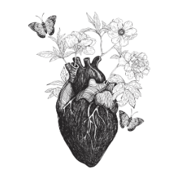 Stories Along The Way from Kris Camealy