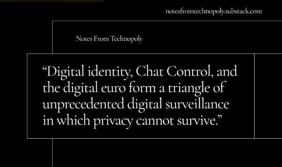 A case against the digital euro