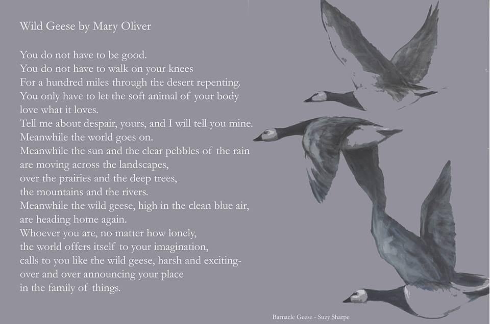 Wild Geese by Mary Oliver You do not have to be good. You do not have to  walk on your knees For a hundred miles through the desert, repenting. You  only have