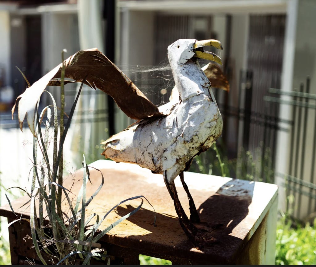 Seagull