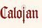 Cristian CALOIAN