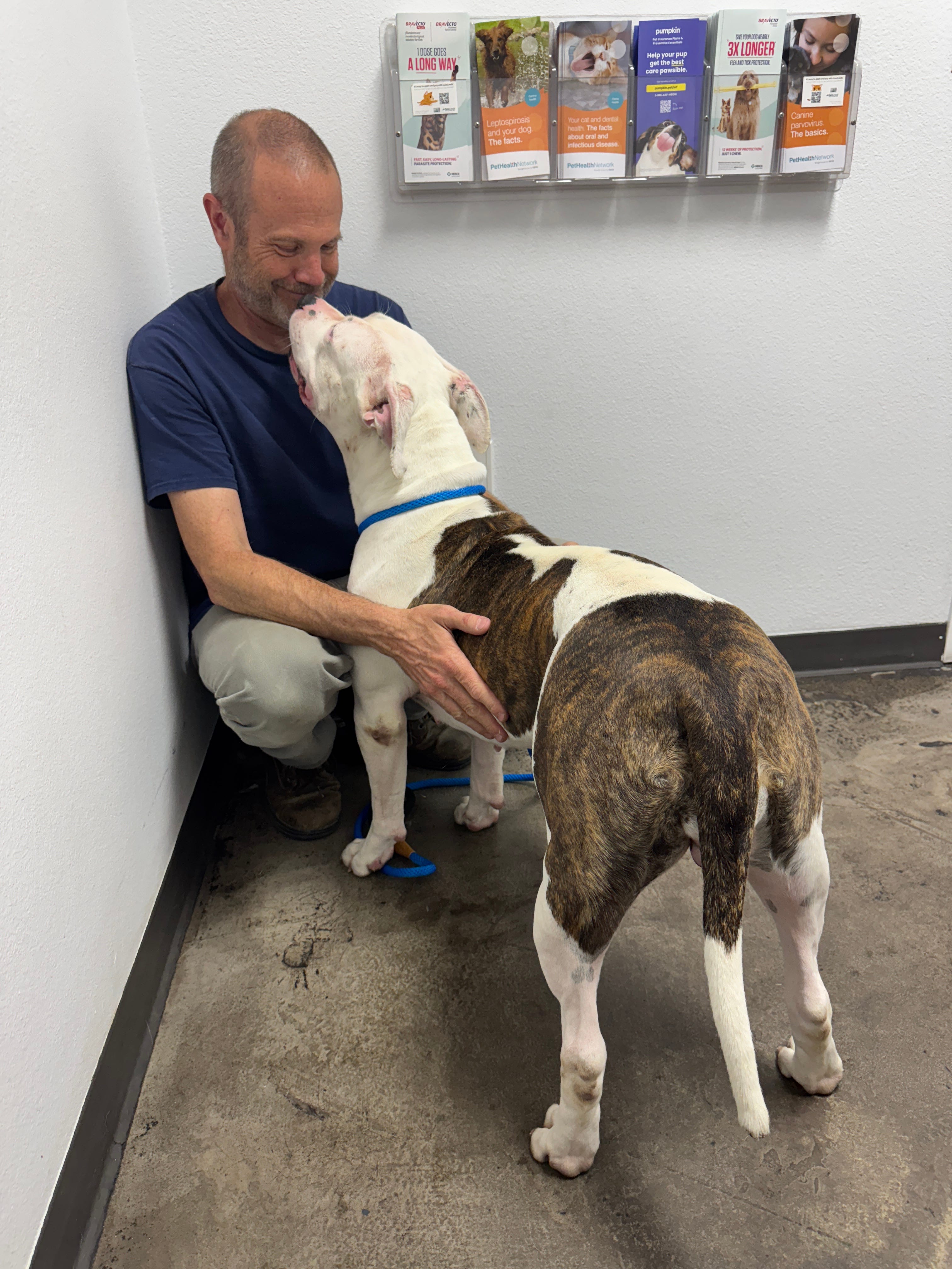 Shelter dog volunteers keep giving even when the system forgets them.
