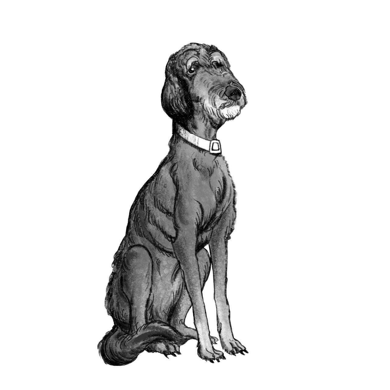 Writing with Presence