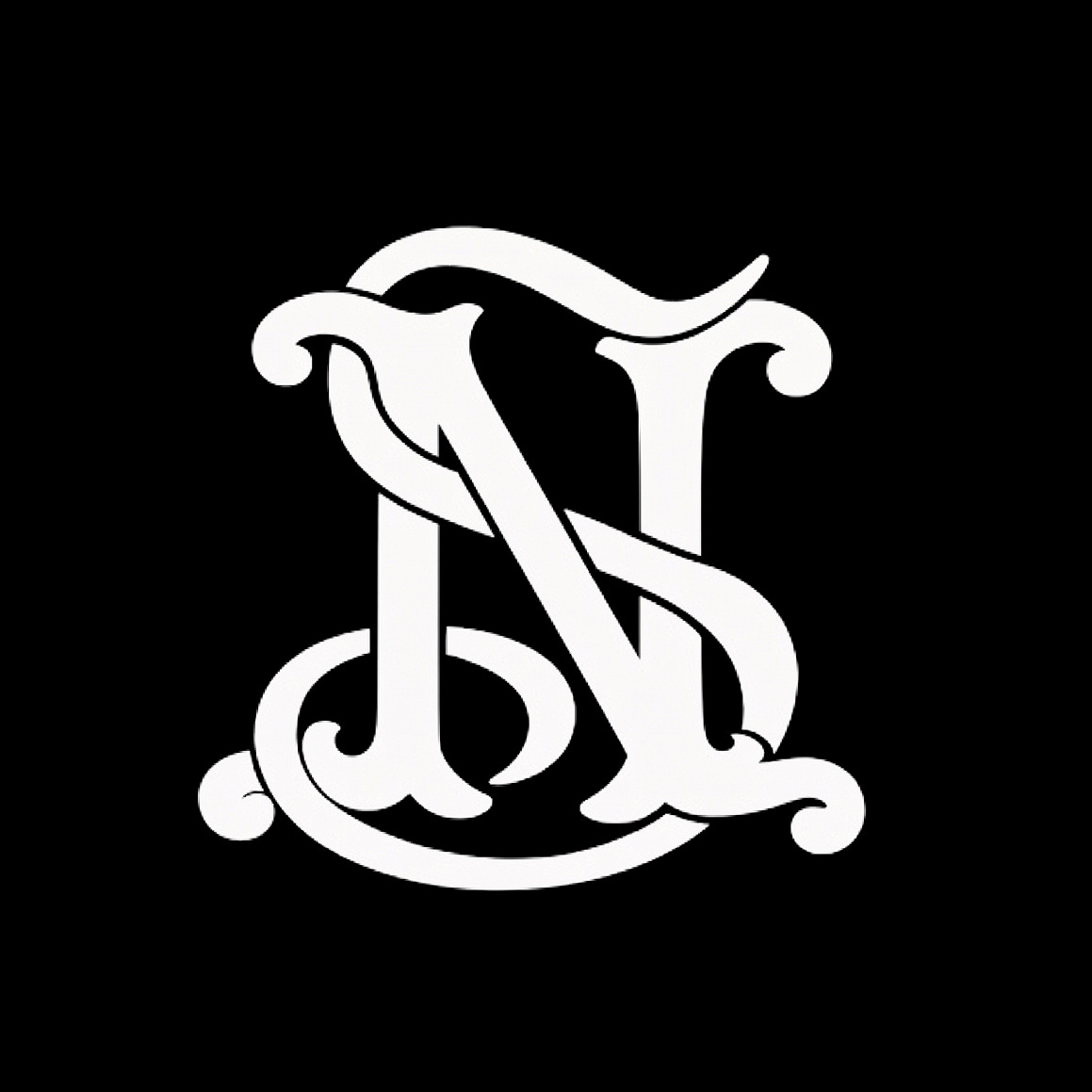 Necso logo
