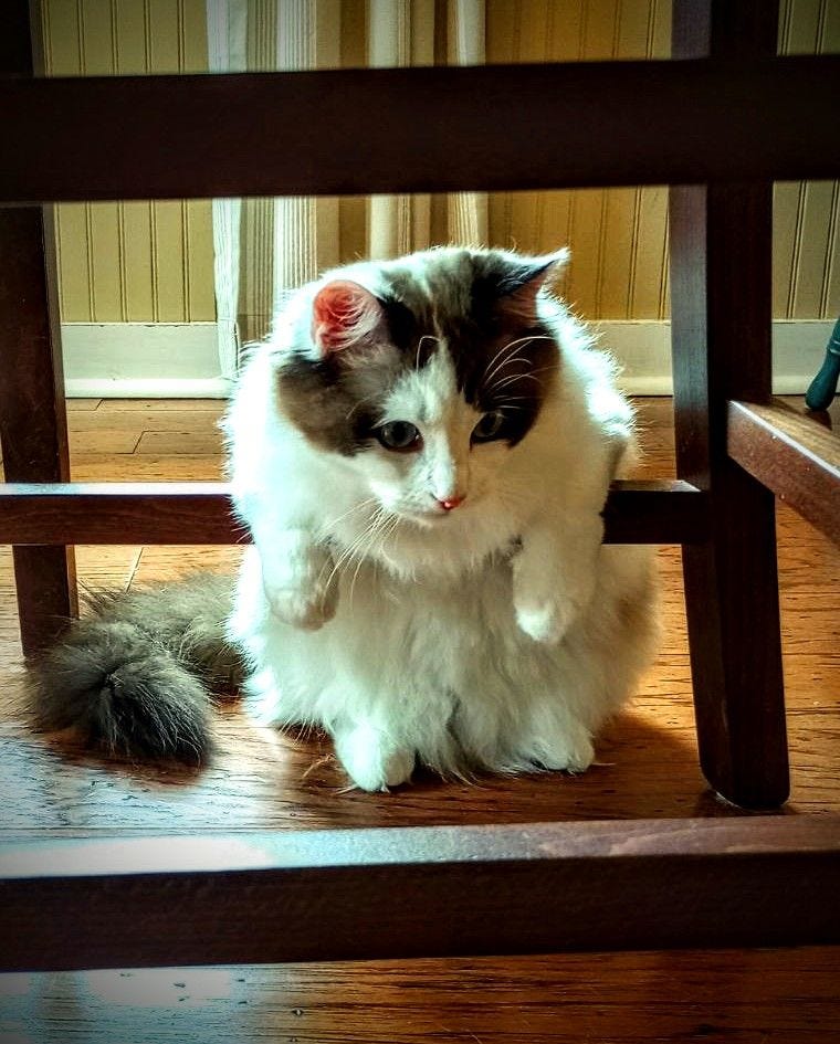 katie:)
