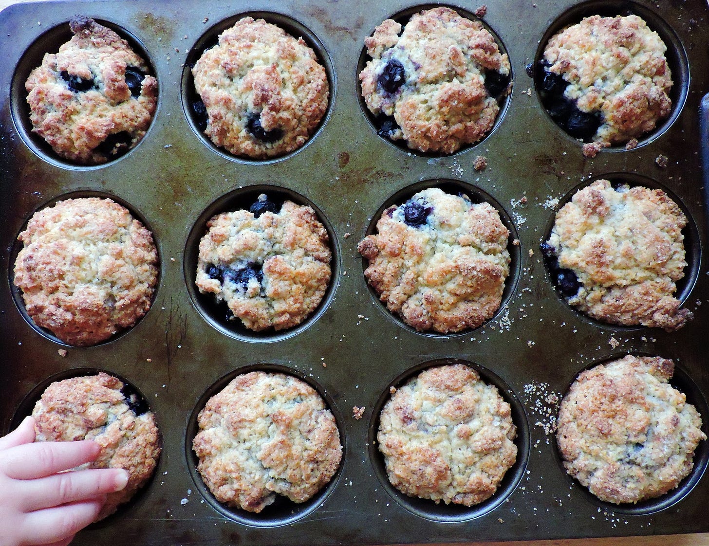 Watch out for a muffin thief! Watch out for a muffin thief!
