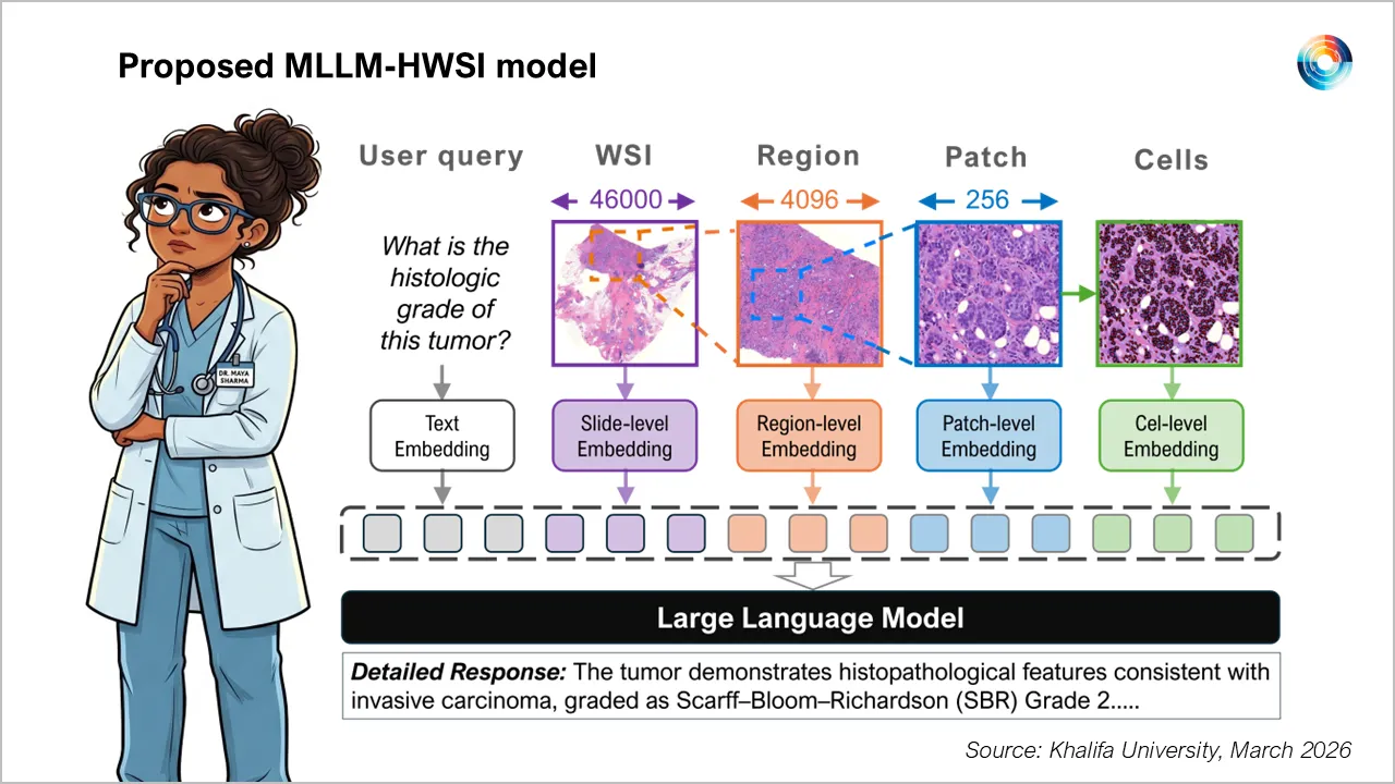 Khalifa University Develops AI Cancer Model That Outperforms 24 Existing Systems