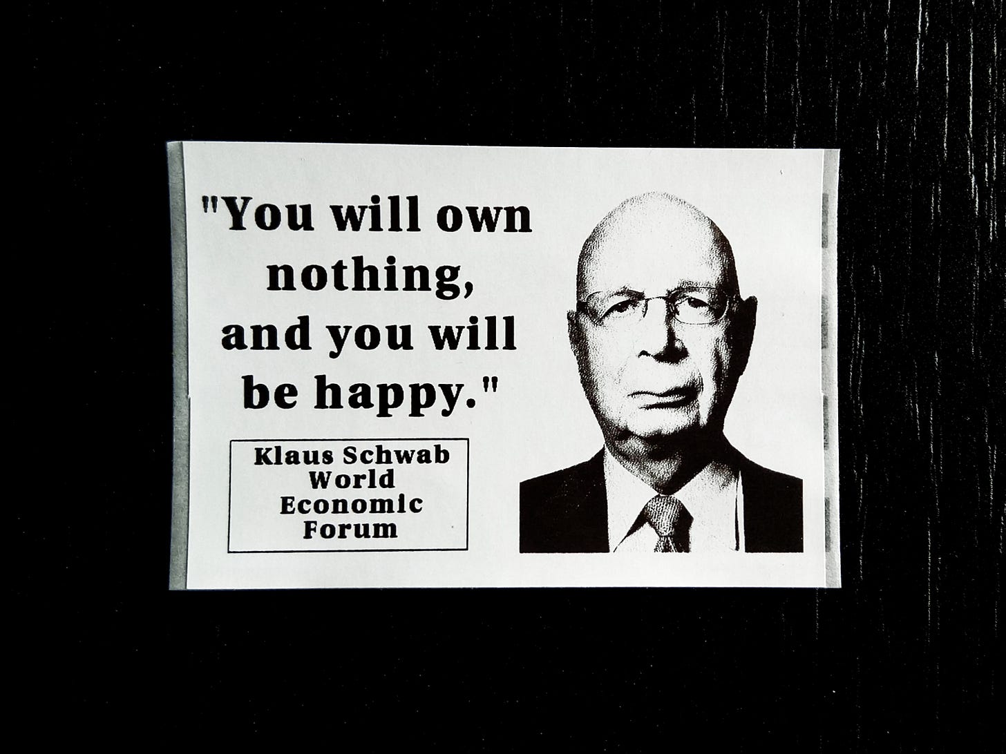 You will own nothing..." - Sticker Packs (25-1000) Schwab WEC The Great  Reset | eBay