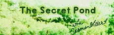 The Secret Pond with Carmen Miller