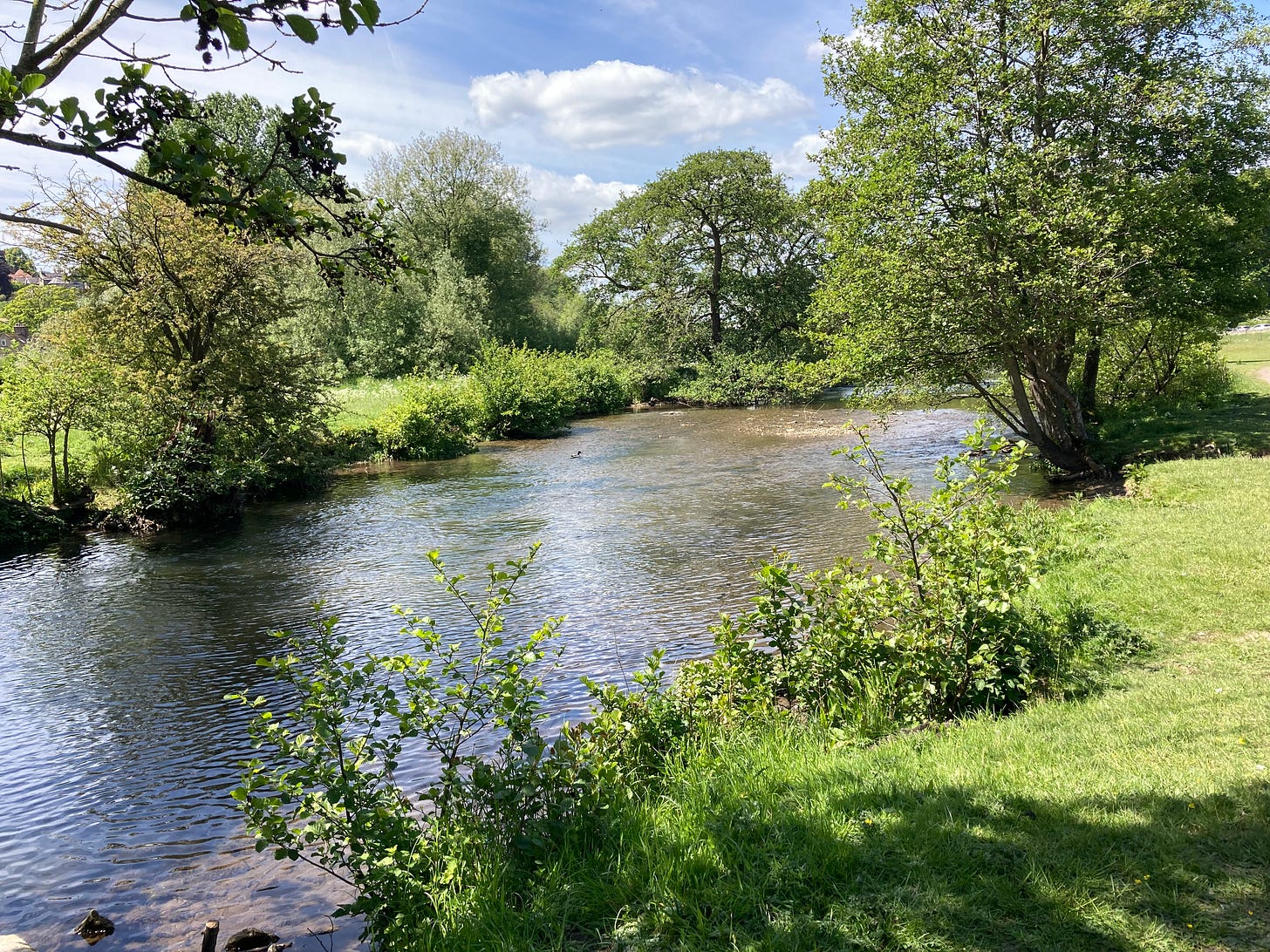 A river and some green grass riverbanks to the right. 