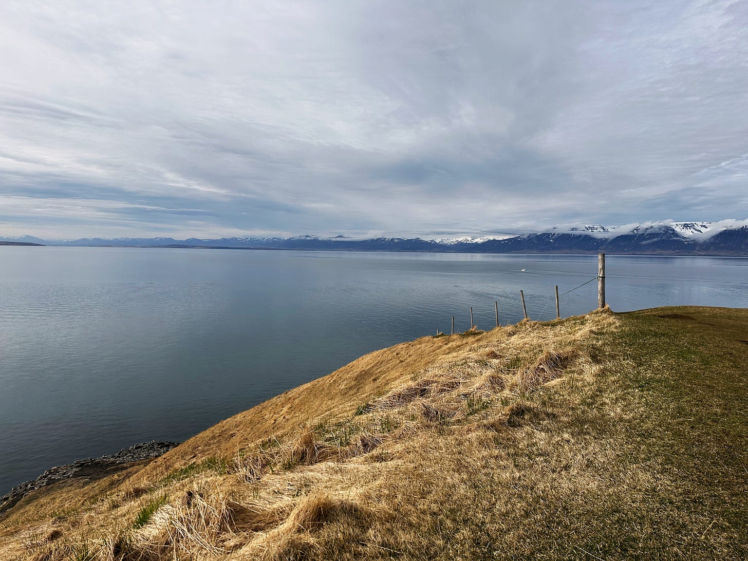 A peaceful view across an Icelandic Fjord.  The water is blue, the sky is filled with white clouds and the ground is covered in golden grass.