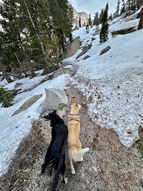 Photos of the Alabama Hills, Whitney Portal, and Lone Pine Lake including Liz and dogs